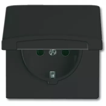 Busch-jaeger 2CKA002064A0290 Juoda