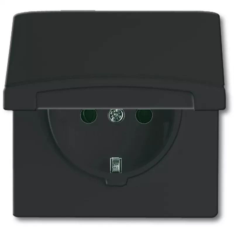 Busch-jaeger 2CKA002064A0290 Juoda