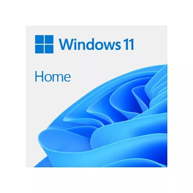 Microsoft Windows 11 Home - Dėžutė - 1 licencija - Flash atmintinė