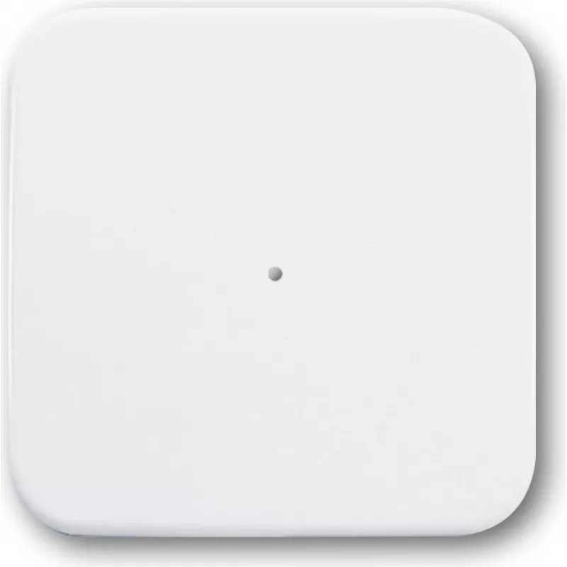 Busch-Jaeger 6731-214 Smart-Home-Sender Wireless sieninis RF belaidis (2CKA006730A0046)