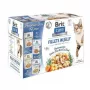 Šlapio kačių maisto maišeliai Brit Care FJ Skonių dėžutė želė 12 x 85 g