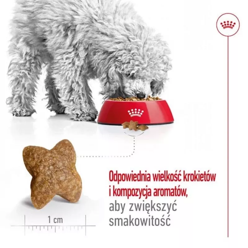 Sausas šunų maistas Royal Canin Adult Mini S 8 kg — visavertė mityba mažiems suaugusiems šunims