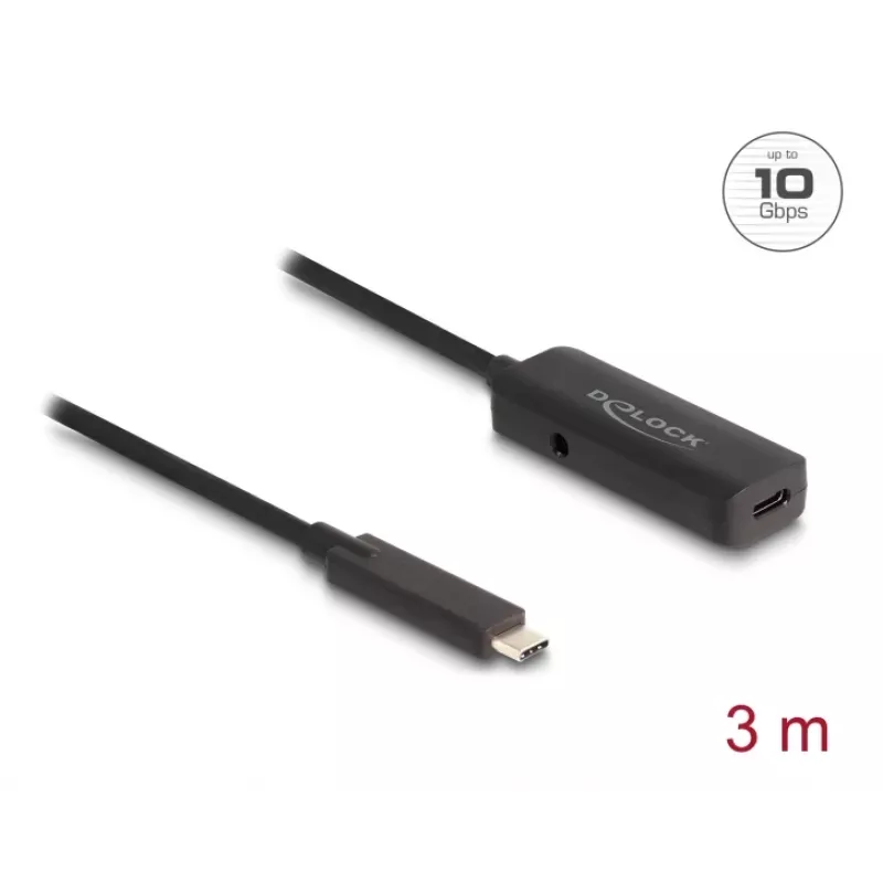 USB laidas DeLOCK 80027 3m USB C juodas