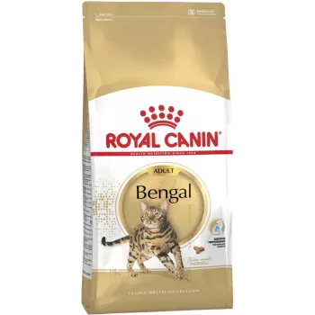 Sausas kačių maistas Royal Canin Bengal Adult 10 kg — Vištiena, 40% baltymų, 18% riebalų