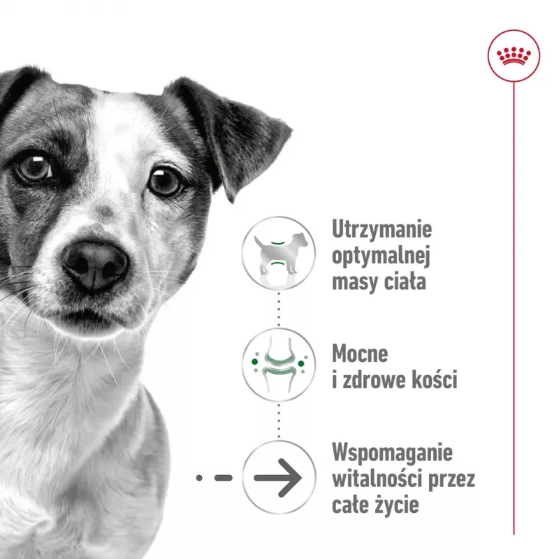 Šlapias šunų ėdalas Royal Canin Mini Ageing 12+ Adult paketėlis 85 g — mažos veislės, paukštiena, vyresnio amžiaus