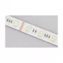 Synergy 21 LED juostelė 5050 - 60 RGB DC24V + RGB-WW (RGB-CCT) vienas lustas IP65