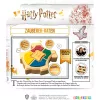 Harry Potter - Burtininkų spėjimo žaidimas, viktorinos žaidimas
