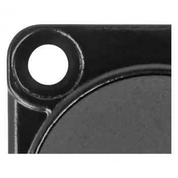 DeLOCK D tipo modulis USB 5 Gbps A tipo lizdas–lizdas, 90° kampinis