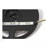 Synergy 21 LED Flex Strip 3528 - 120 DW (CCT) DC12V 48W pro Colour IP20