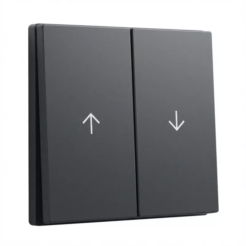 Rockerswitch cover plate GIRA System 55 Wippe 2f Pfeil anthracite (model 329428)