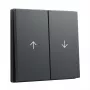 Rockerswitch cover plate GIRA System 55 Wippe 2f Pfeil anthracite (model 329428)