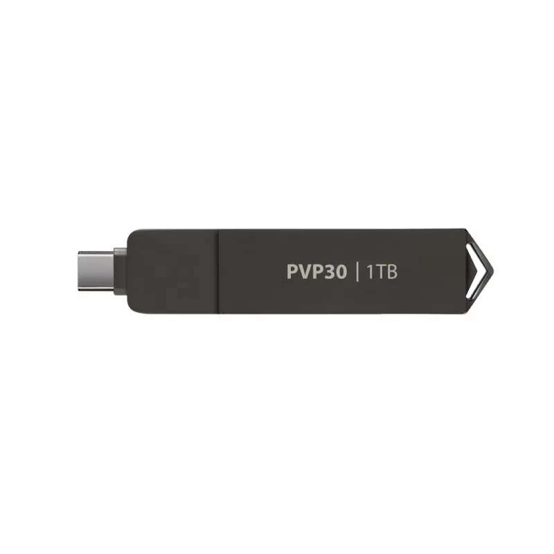 Patriot PVP301TB28UDG atminties diskas