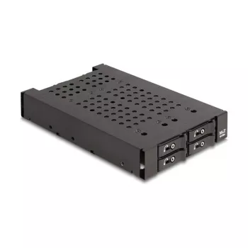 HDD Cage DeLOCK 47072 Rack Suderinama Metal 100mm Width