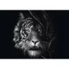 Ashley Rader: Wilderness - Tiger, In the Sign of Freedom, dėlionė 1000 dalių