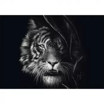 Ashley Rader: Wilderness - Tiger, In the Sign of Freedom, dėlionė 1000 dalių