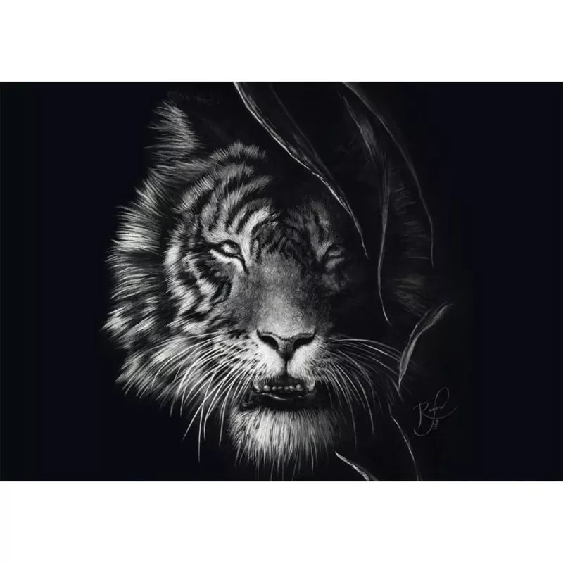 Ashley Rader: Wilderness - Tiger, In the Sign of Freedom, dėlionė 1000 dalių