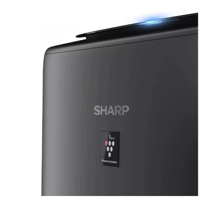 Oro valytuvas Sharp UA-KIN42E-H