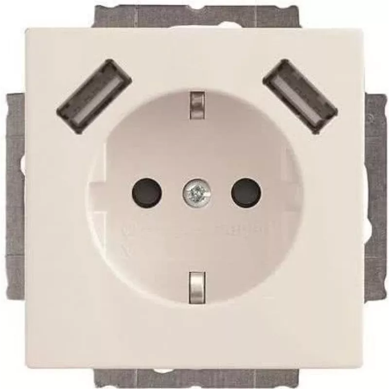 Busch-Jaeger SCHUKO-2x USB kištukinis lizdas 20 EUCB2USB-84 (2CKA002011A6273)