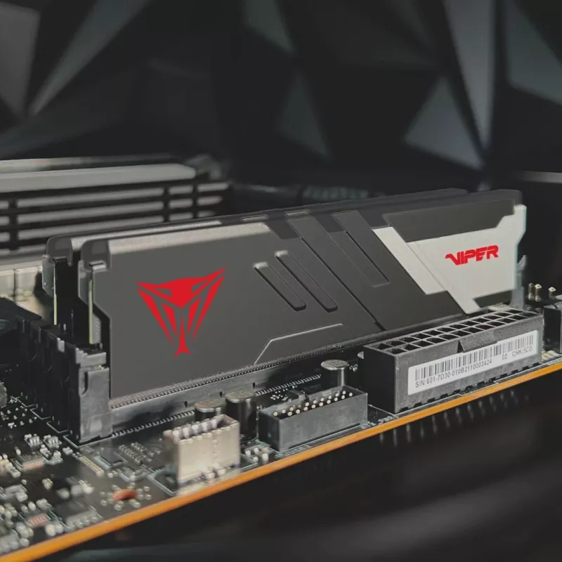 Patriot Memory Viper Venom PVV516G60C30 atminties modulis 16 GB 1 x 16 GB DDR5 6000 MHz ECC