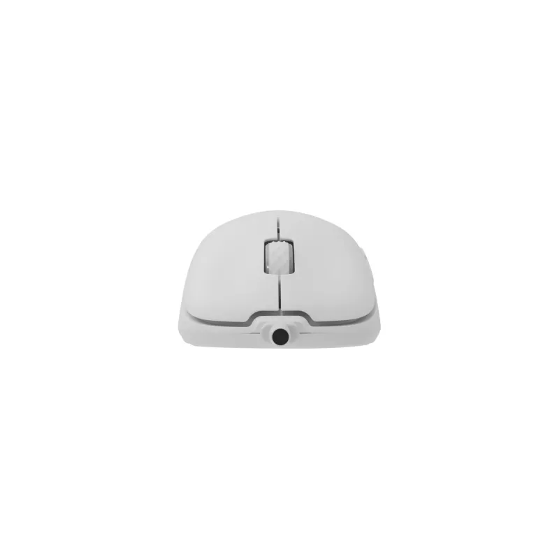 Pelė White Shark GM-5014 Graphene White USB