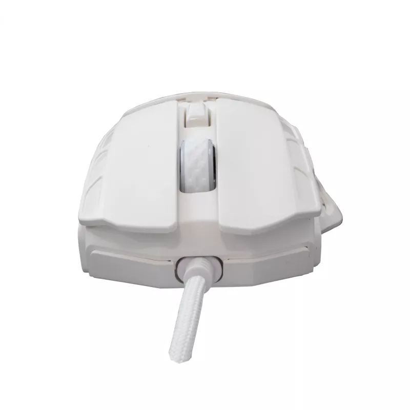 Pelė White Shark GM-5016 Ector White USB