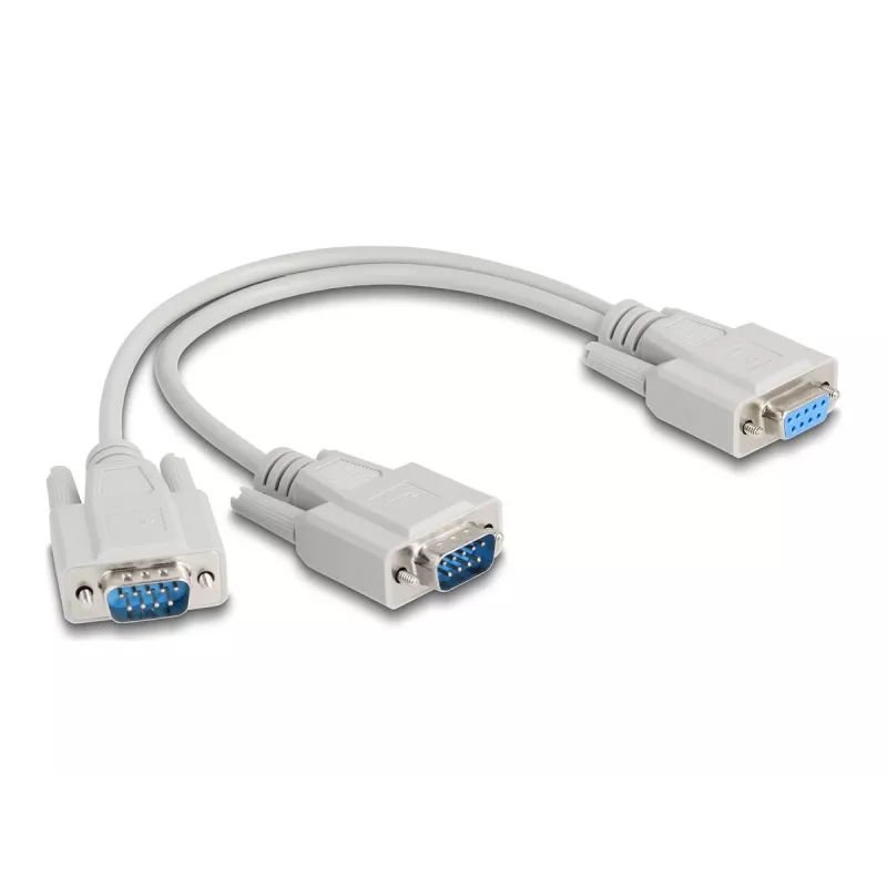 DeLOCK 67160 serijinis laidas smėlio spalvos 0,3 m DB-9