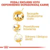 Sausas kačių maistas Royal Canin Siamese 2 kg — Suaugusios katės, Paukštiena, Baltymai 38%, Riebalai 16%