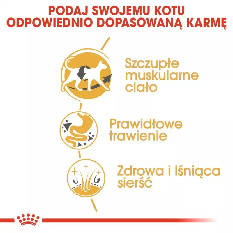 Sausas kačių maistas Royal Canin Siamese 2 kg — Suaugusios katės, Paukštiena, Baltymai 38%, Riebalai 16%