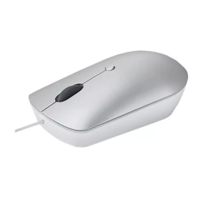 Laidinė optinė abiem rankoms tinkama pelė Lenovo 540 USB Type-C, 3 DPI režimai, pilka, 4 mygtukai, 1,8 m laidas