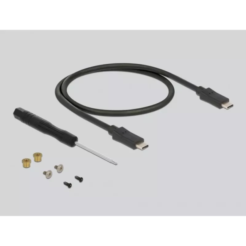 SSD korpusas DeLOCK 42003 Išorinis korpusas M.2 SATA SSD su USB Type-C