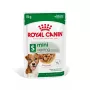 Šlapias šunų ėdalas Royal Canin Mini Ageing 12+ Adult paketėlis 85 g — mažos veislės, paukštiena, vyresnio amžiaus