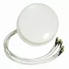 ALLNET antena 2,4/5 GHz 4dBi DualBand Spatial Diversity MIMO lubinė/dekinė antena HG2458-4SDC-RSP