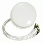 ALLNET antena 2,4/5 GHz 4dBi DualBand Spatial Diversity MIMO lubinė/dekinė antena HG2458-4SDC-RSP