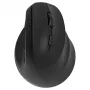Ergonominė dešiniarankė belaidė pelė, dviguba WL+BT
