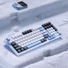 VGN V98 Pro Gaming klaviatūra, Arctic Fox – ribotas leidimas (US)