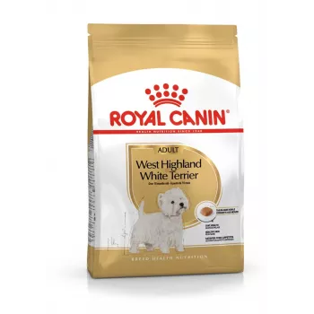 Royal Canin BHN West Highland Balta Terrier Adult – sausas ėdalas suaugusiems šunims – 3 kg