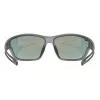 Uvex sportiniai akiniai Unisex Full rim Pilki Uvex 5330872213