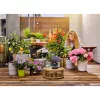 Gardena AquaBloom žarna 20 m juoda 13301-20