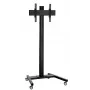 Sieninis laikiklis Vogel's T 1844B MOBILE DISPLAY plokštiems ekranams (modelis 7953020)