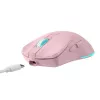 Pelė Baracuda BGM-124 Turtle Pink TURTLE-P