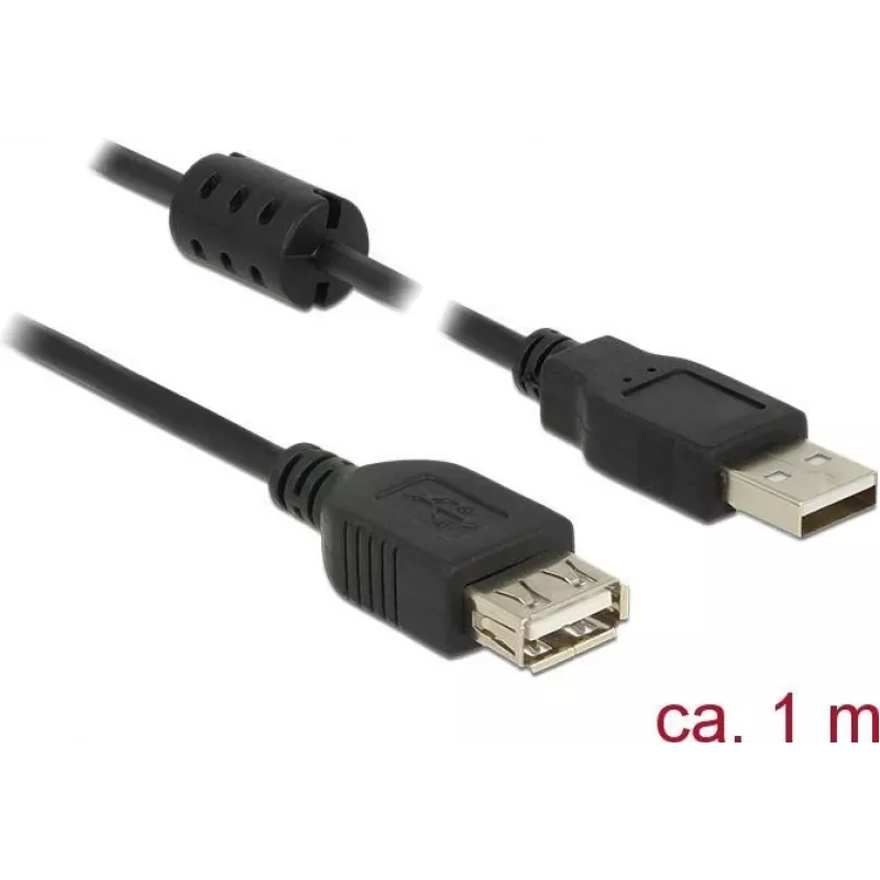 USB laidas DeLOCK 84883 USB 2.0 1 m juodas