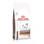Sausas šunų maistas Royal Canin Gastrointestinal Low Fat Small 3,5 kg — veterinarinė dieta mažiems suaugusiems šunims, mažai riebalų 7 %, baltymų 22 %