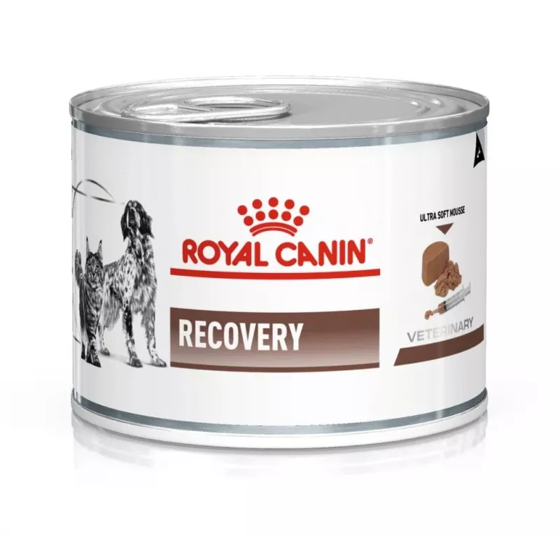 Šlapias atsigavimo ėdalas šunims Royal Canin Recovery Adult 195 g — paukštiena, 73% drėgmės, 12,7% baltymų