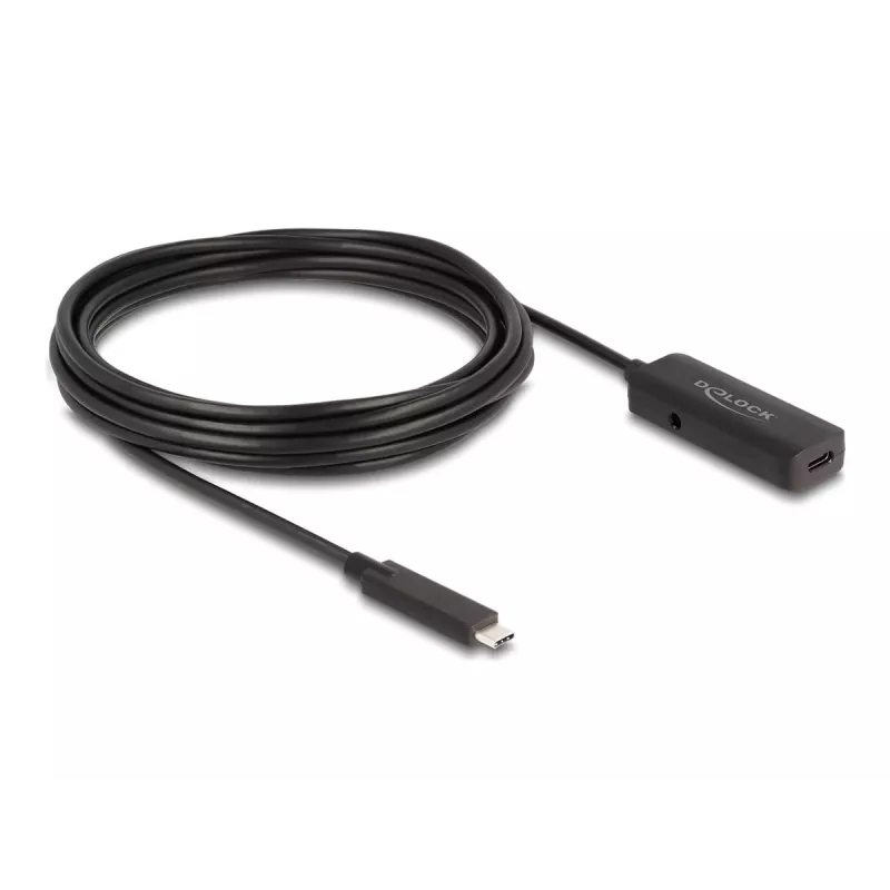 USB laidas DeLOCK 80028 5m USB C juodas