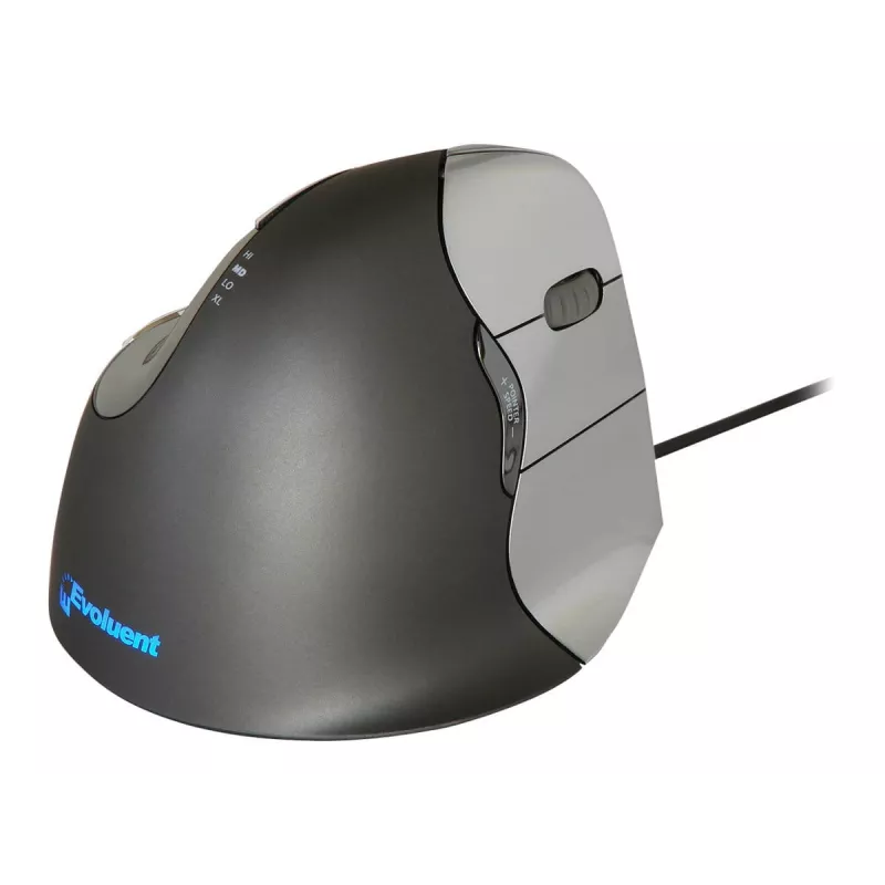 Evoluent Verticalpelė 4 USB Type-A pelė