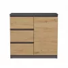 Komoda Topeshop 1D3S 80×40×75 cm, antracito ąžuolo amatininko matinė