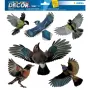 Dekoratyvinis lipdukas HERMA 15539 Plėvelė Daugiaspalvis Nuimamas Paukštis