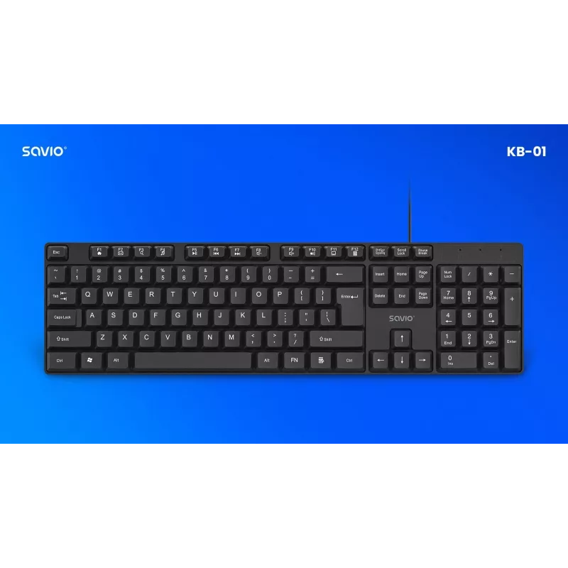 Savio KB-01 klaviatūra Namams/Biurui USB QWERTY US anglų Juoda