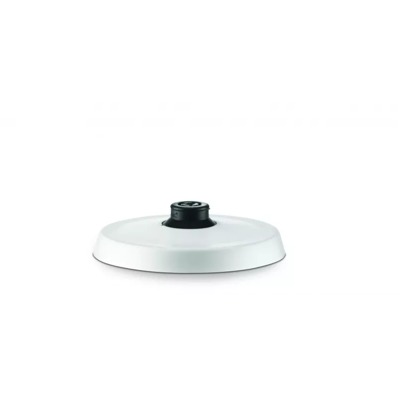 Elektrinis virdulys Zelmer 1,7L 2200W sidabrinis