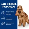 HILL's Prescription Diet Food Sensitivites z/d - sausas šunų maistas - 10 kg